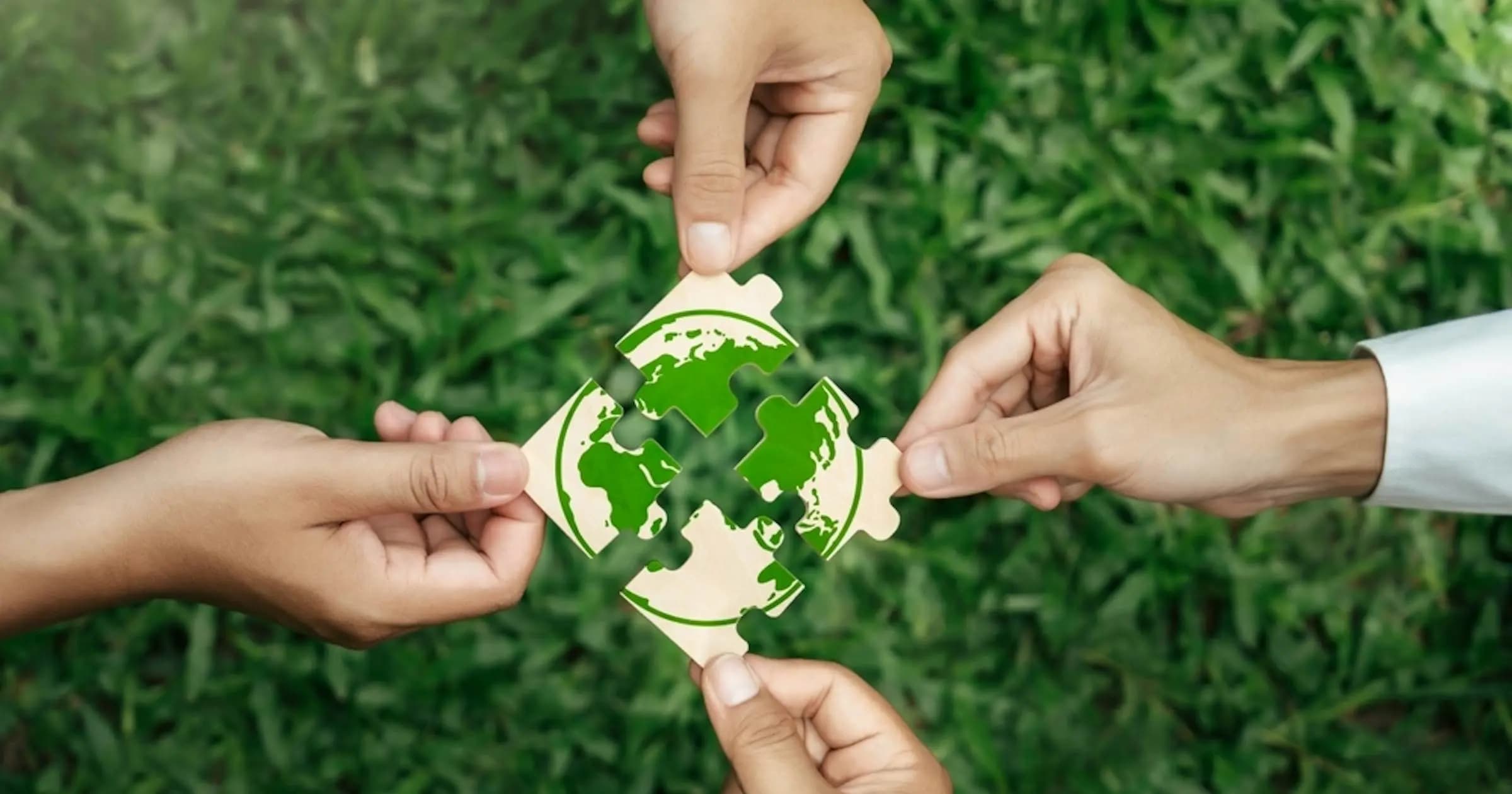 Our Impact Areas Background