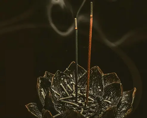 Market reach and distribution network